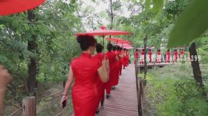 活動(dòng)展示片。青云林海旗袍活動(dòng)